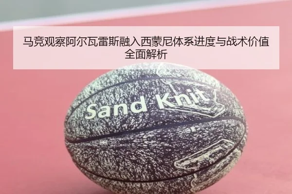 马竞观察阿尔瓦雷斯融入西蒙尼体系进度与战术价值全面解析