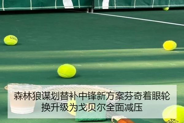 森林狼谋划替补中锋新方案芬奇着眼轮换升级为戈贝尔全面减压